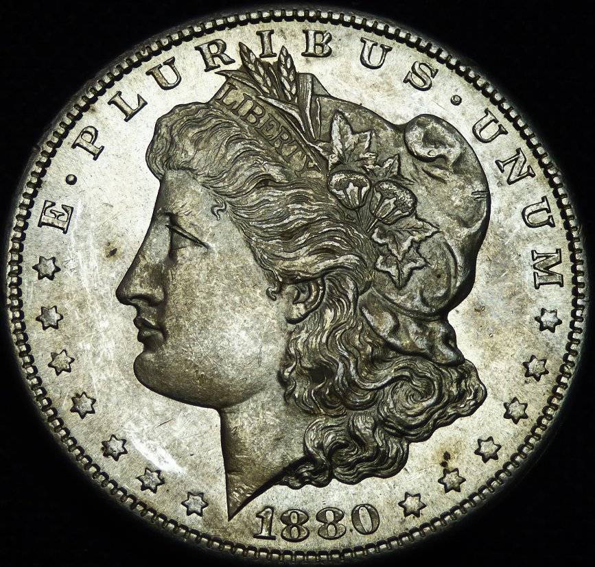 1880-S-Morgan-Dollar-Opinions-Please-......-#195