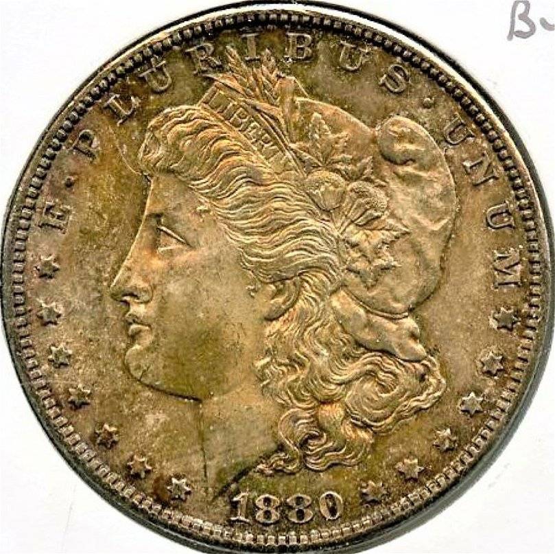 Not-My-Coin-But-I'm-Interested---Heavily-Toned-1880-S-Morgan
