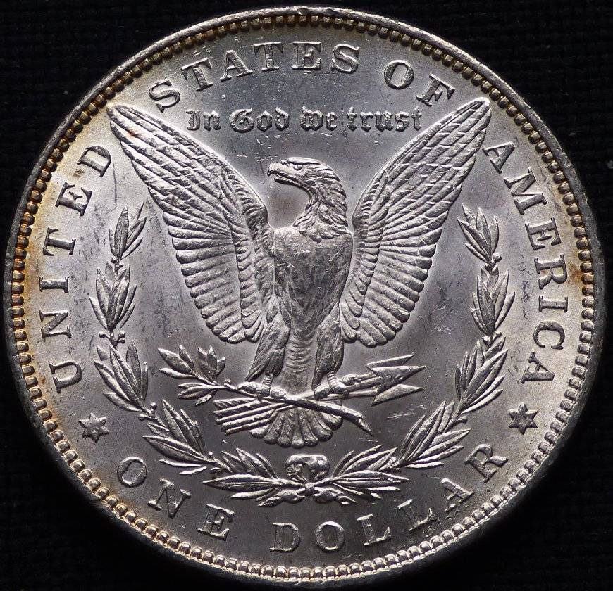 1883-P-Morgan-Dollar-Opinions-Please-......-#204