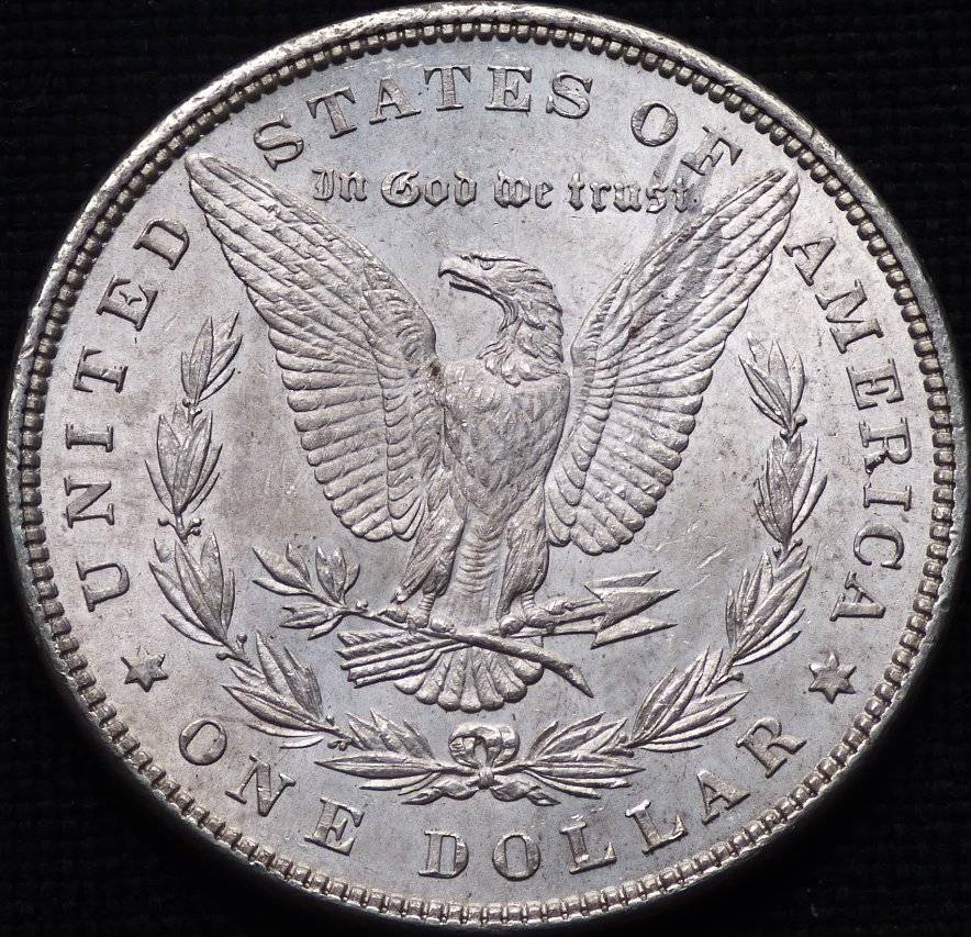 1882-P-Morgan-Dollar-Opinions-Please-......-#207