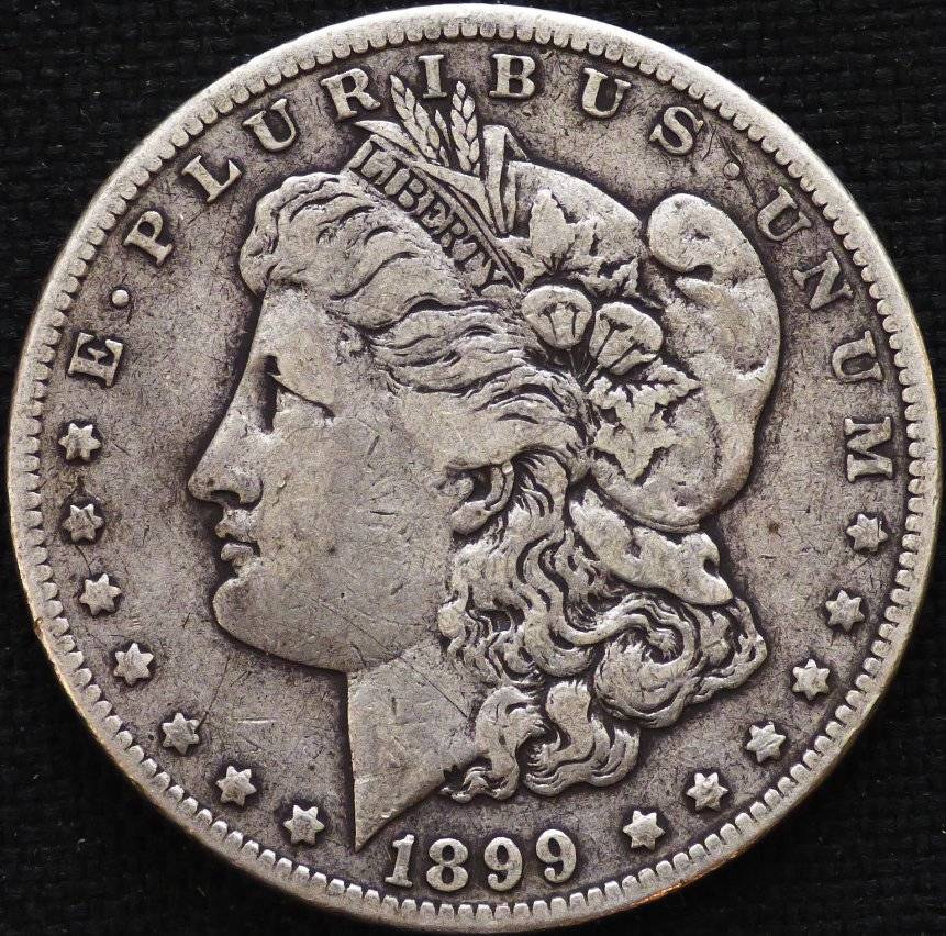 1899-Micro-O-Morgan-Dollar-Opinions-Please-......-#214