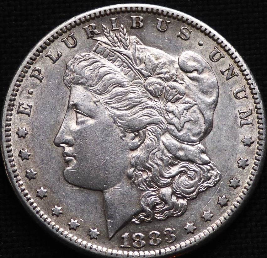1883-S-Morgan-Dollar-Opinions-Please-......-#231