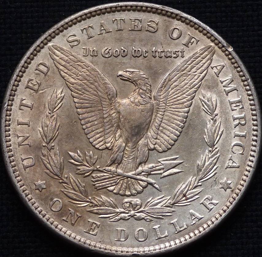 1883-P-Morgan-Dollar-Opinions-Please-......-#232