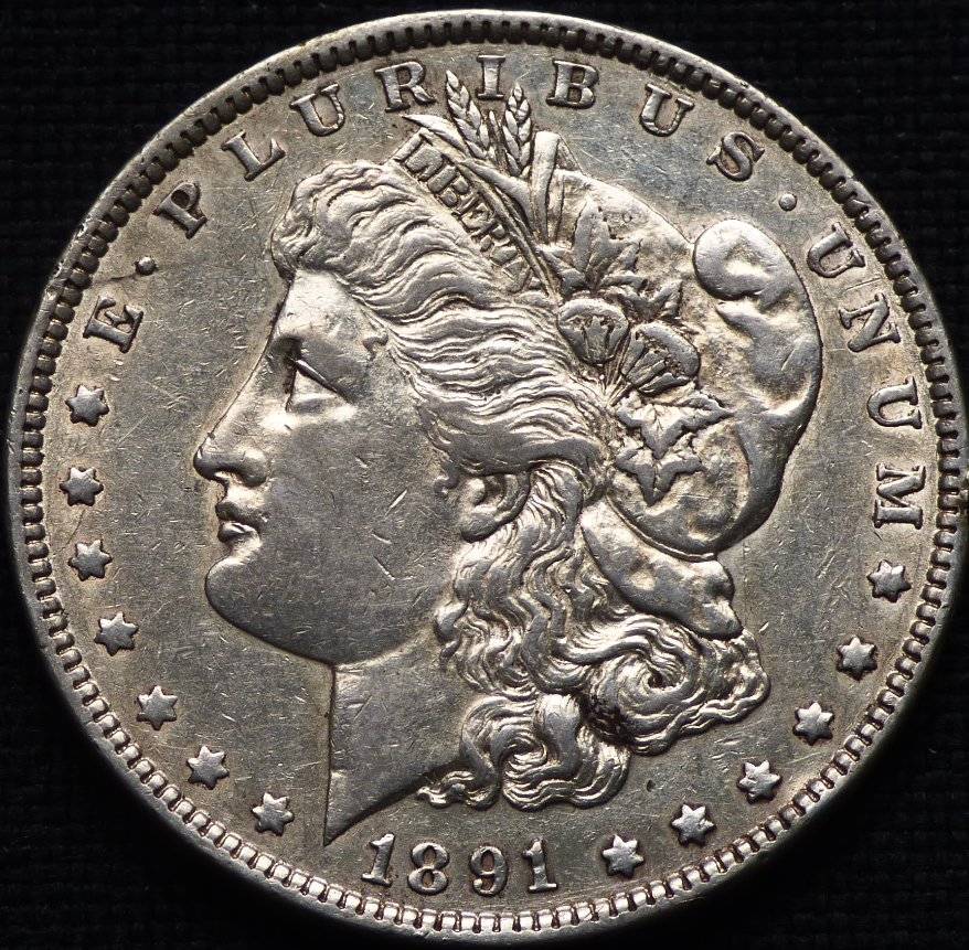 1891-P-Morgan-Dollar-Opinions-Please-......-#235