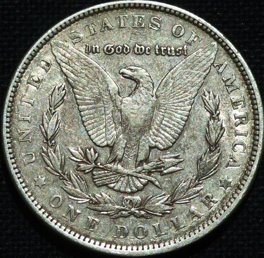 1891-P-Morgan-Dollar-Opinions-Please-......-#237