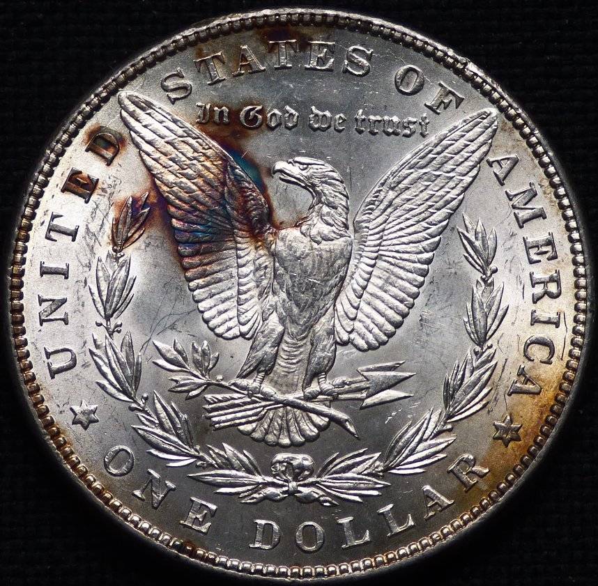 1884-P-Morgan-Dollar-Opinions-Please-......-#240