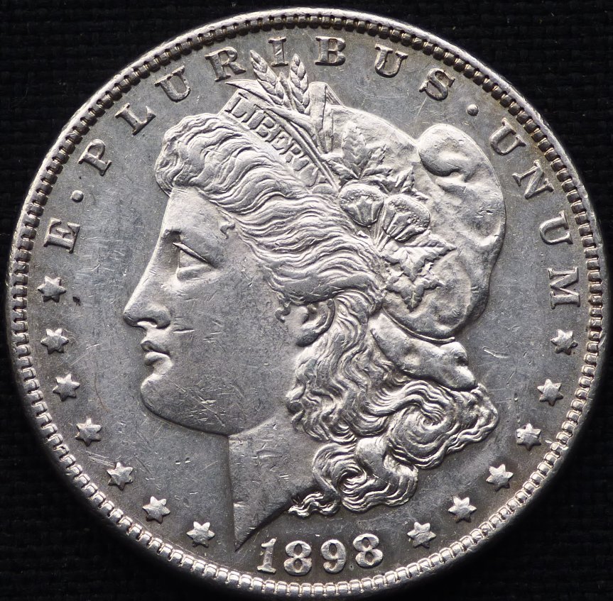 1898-P-Morgan-Dollar-Opinions-Please-......-#254