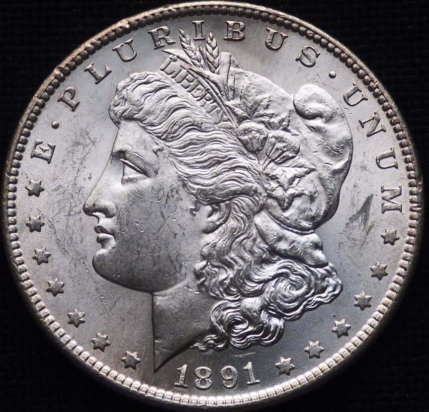 1891-S-Morgan-Dollar-Opinions-Please-......-#255
