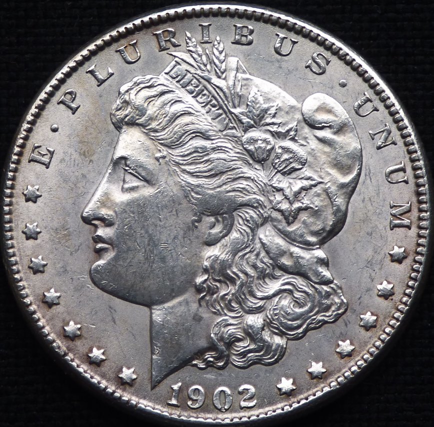 1902-O-Morgan-Dollar-Opinions-Please-......-#258
