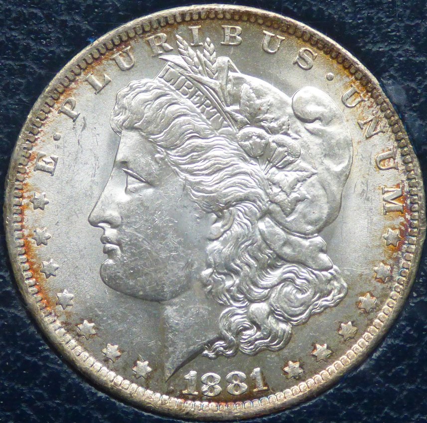1881-O-Morgan-Dollar-Opinions-Please-.....-#265B