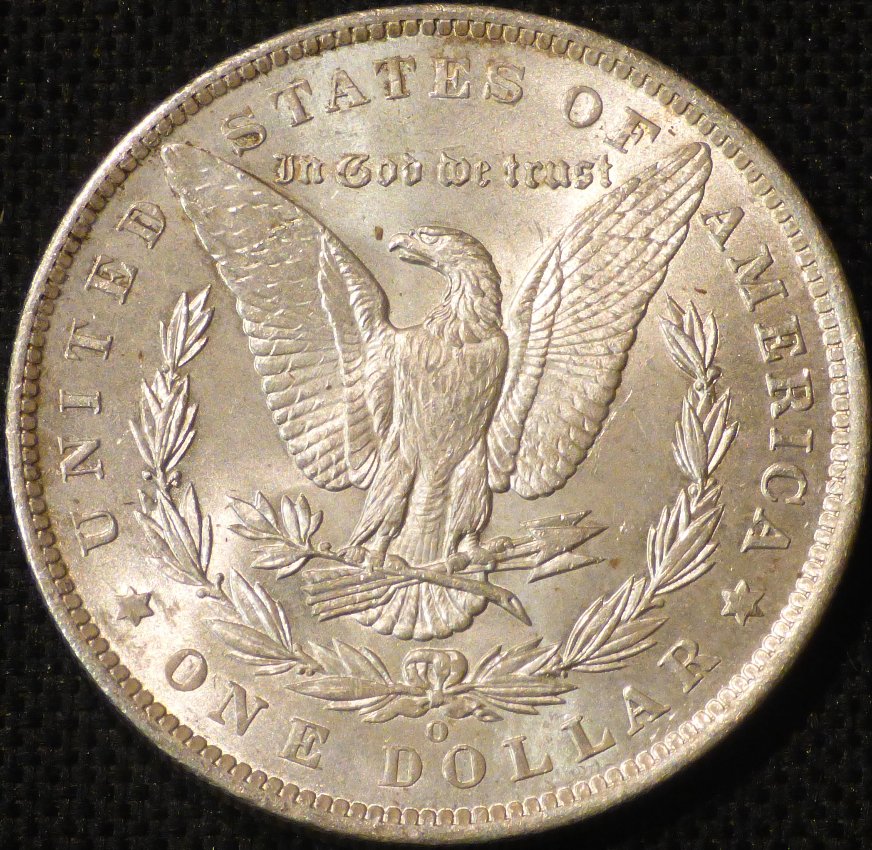 1885-O-Morgan-......-Opinions-Please-......-#266