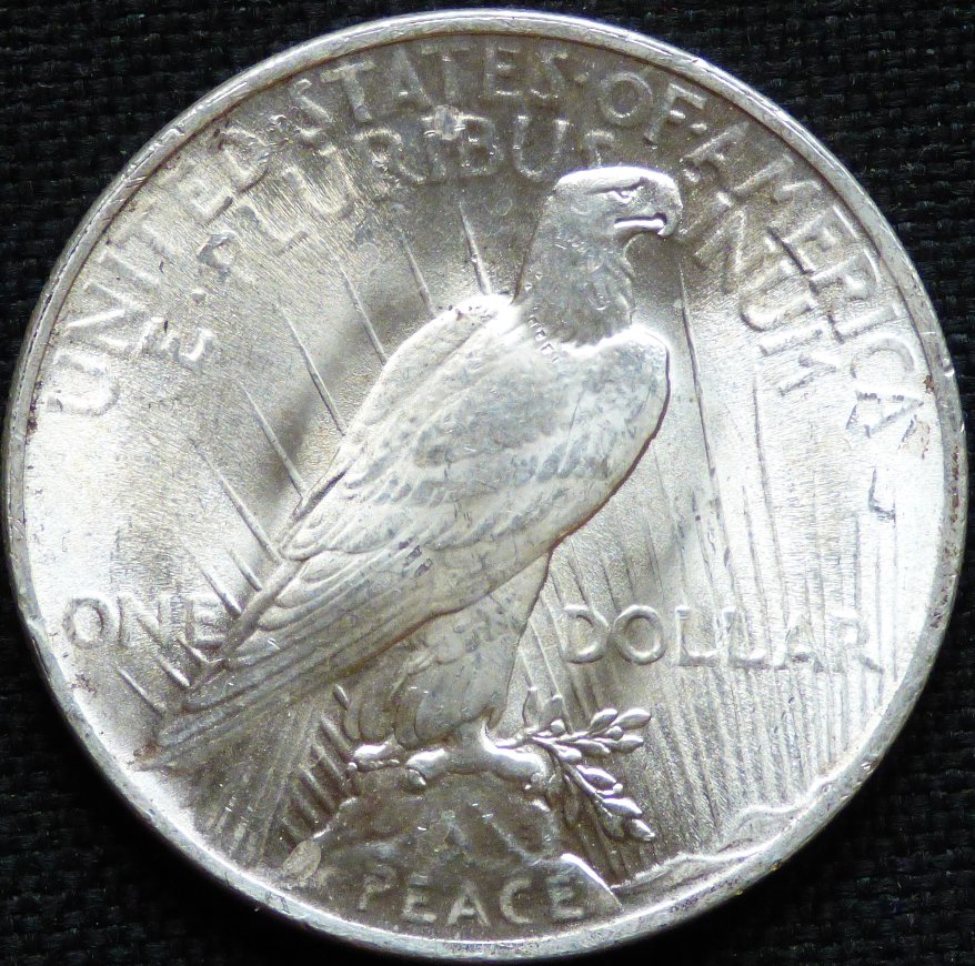 1924-P-Peace-Dollar-.-Opinions-Please-.-#275