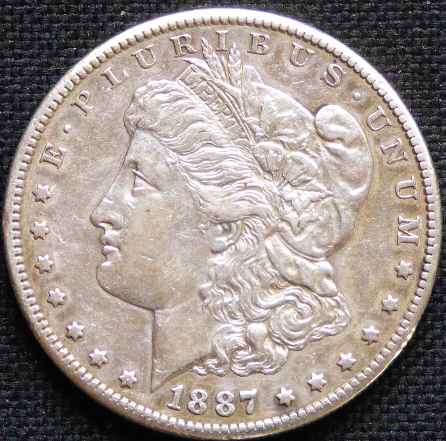 1887-S-Morgan-.-You-Just-Can't-Unpolish-A-Coin-.-#273