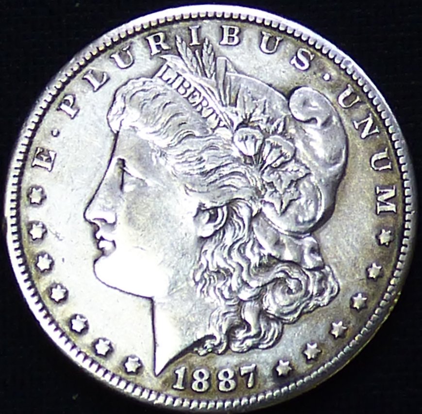 1887-S-Morgan-.-You-Just-Can't-Unpolish-A-Coin-.-#273