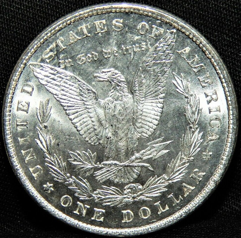 1878-8-Tail-Feather-Morgan-.-Opinions-Please
