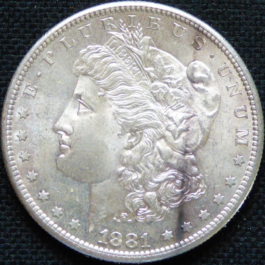 Raw-1881-S-Morgan-For-Grading-Please