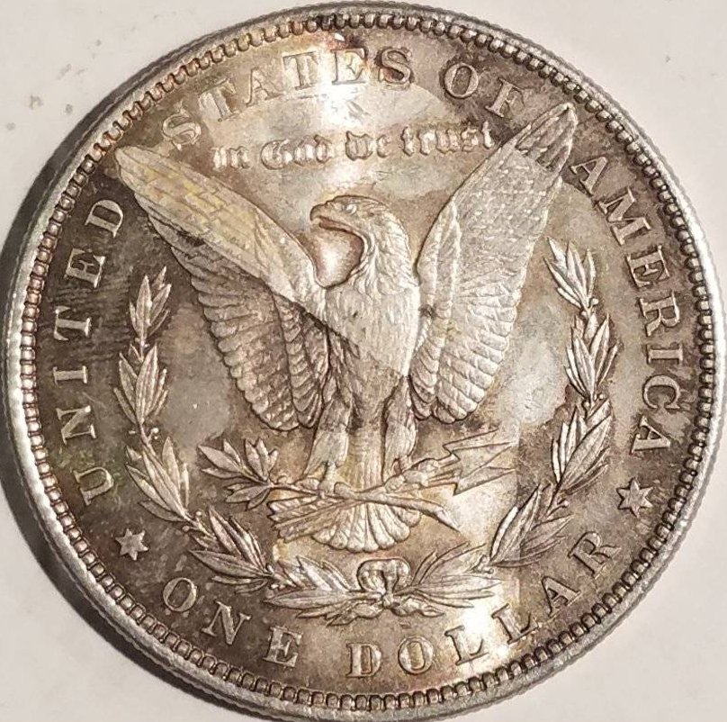Raw-1881-S-Morgan-For-Grading-Please
