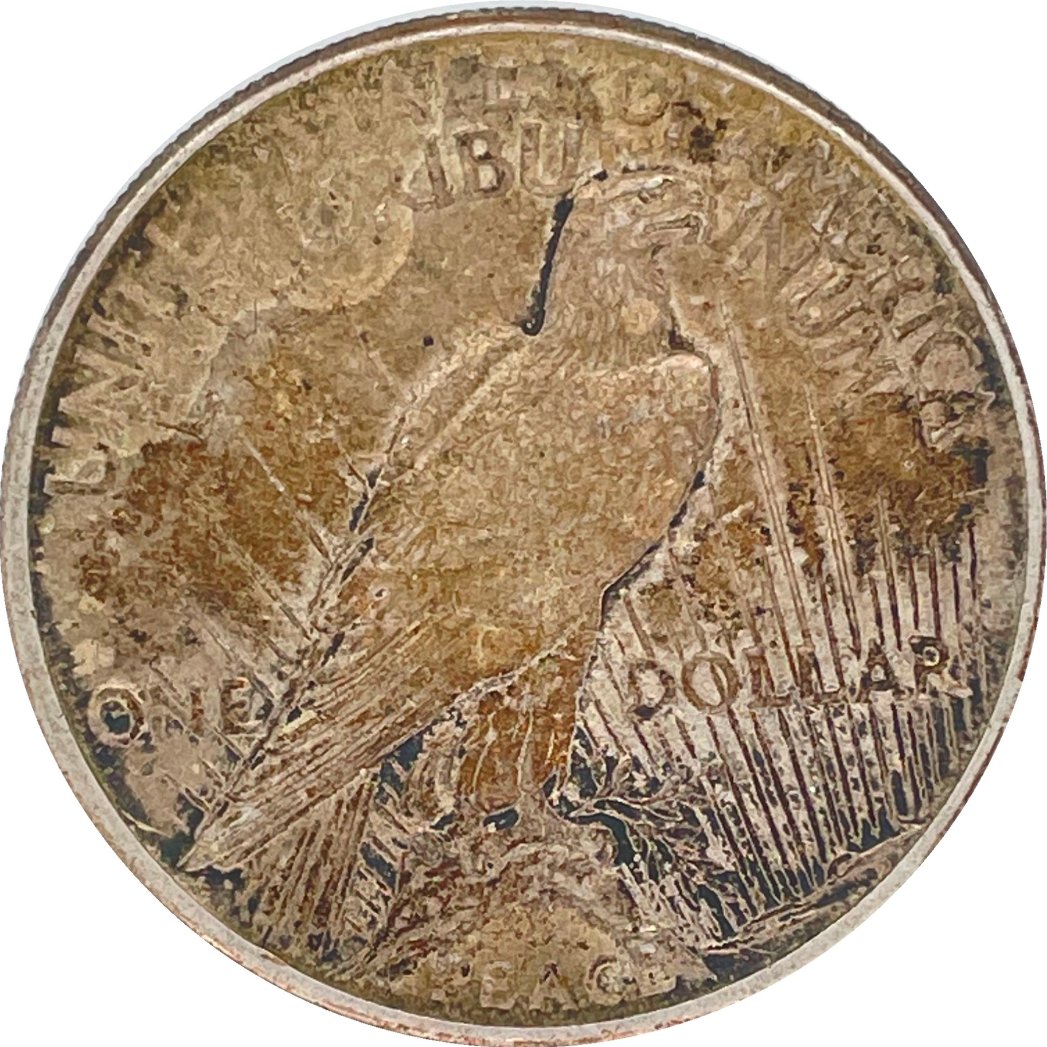 1921-Peace-Dollar-Grade-Opinion-Please---And-This-Coin-Should-Be-Cleaned