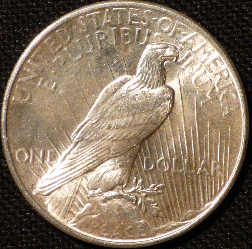 1925-P-Peace-Dollar-.-Grading-And-Opinions-Please-.-#290
