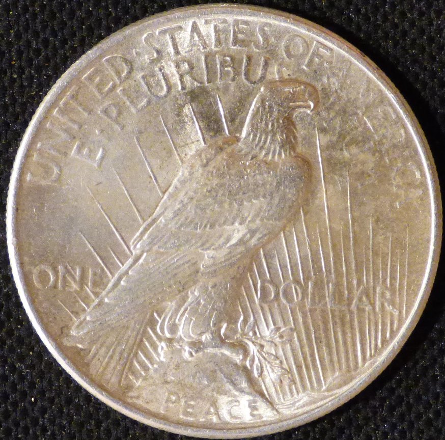 1925-P-Peace-Dollar-.-Grading-And-Opinions-Please-.-#290