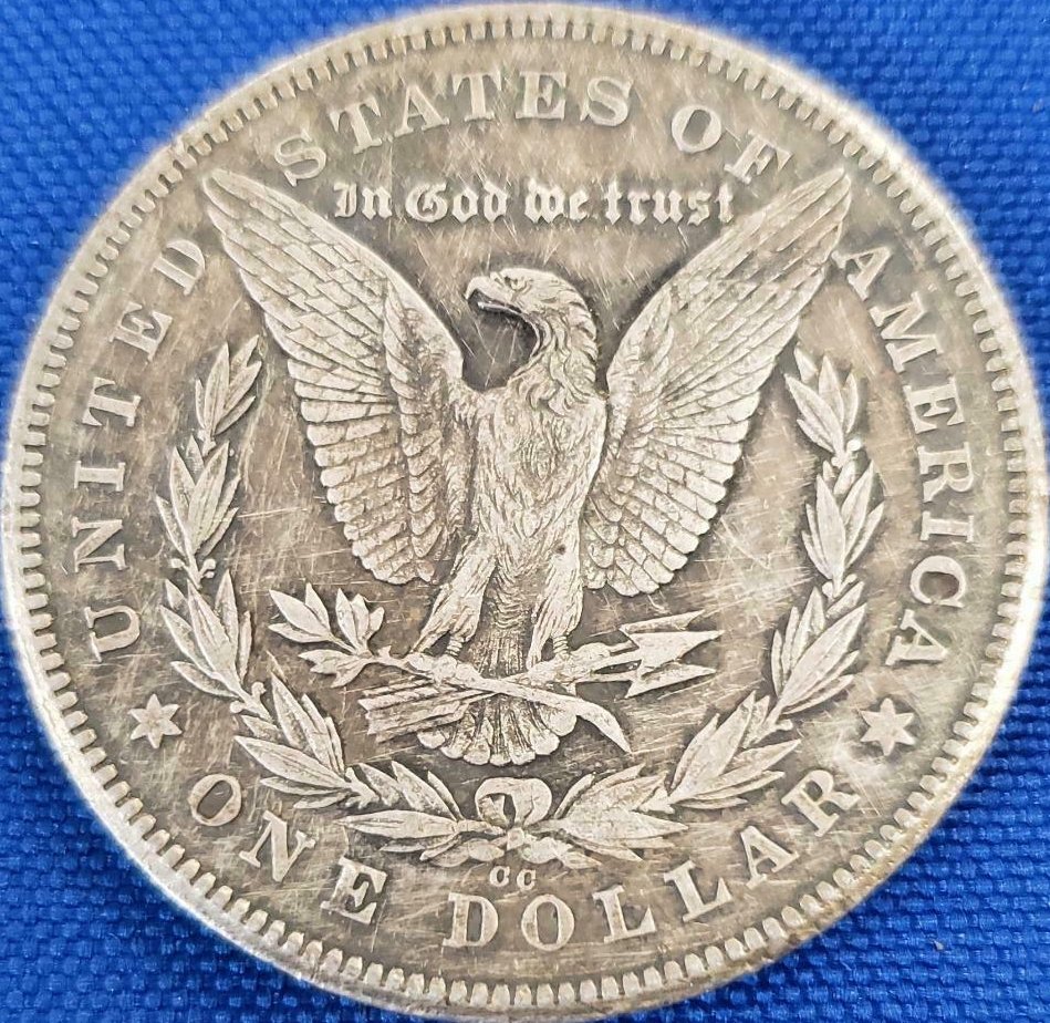 Morgan-1878-CC-.-What-A-Shame!