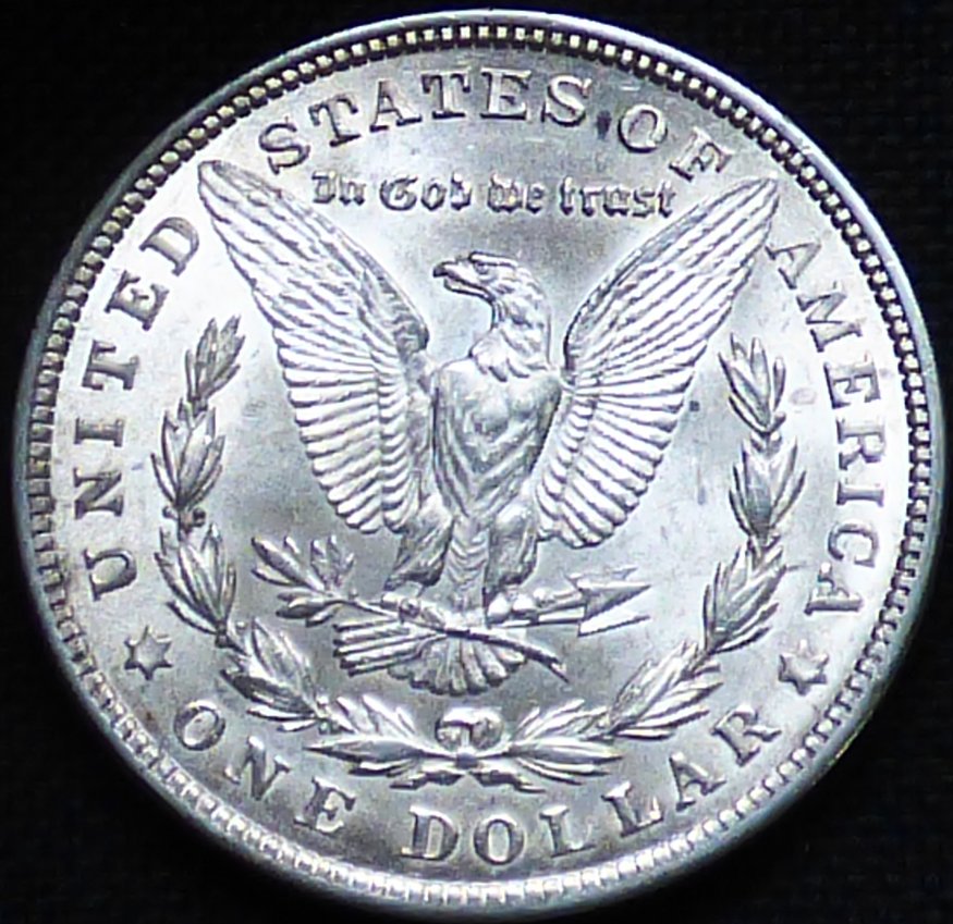 #292-Morgan-Dollar-1921-P-.--Grading-And-Opinions-Please
