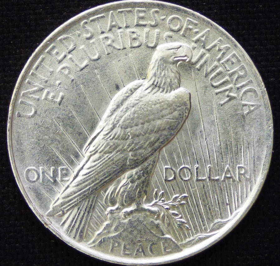 Peace-Dollar-1922-P-.-Grade-And-Opinions-Please-#289