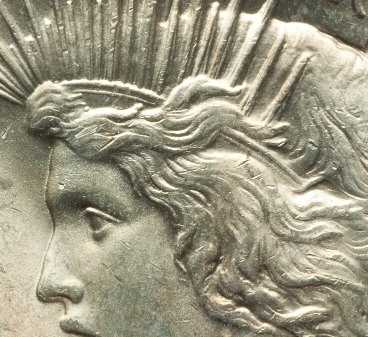 Peace-Dollar-1922-P-.-Grade-And-Opinions-Please-#289