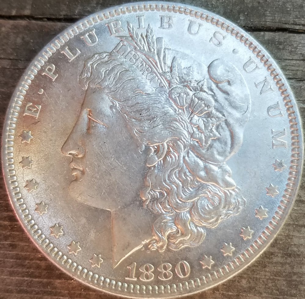 1880-O-Morgan-Dollar-Opinions-Please-.-New-Coin,-Same-Year-And-Mint-Mark