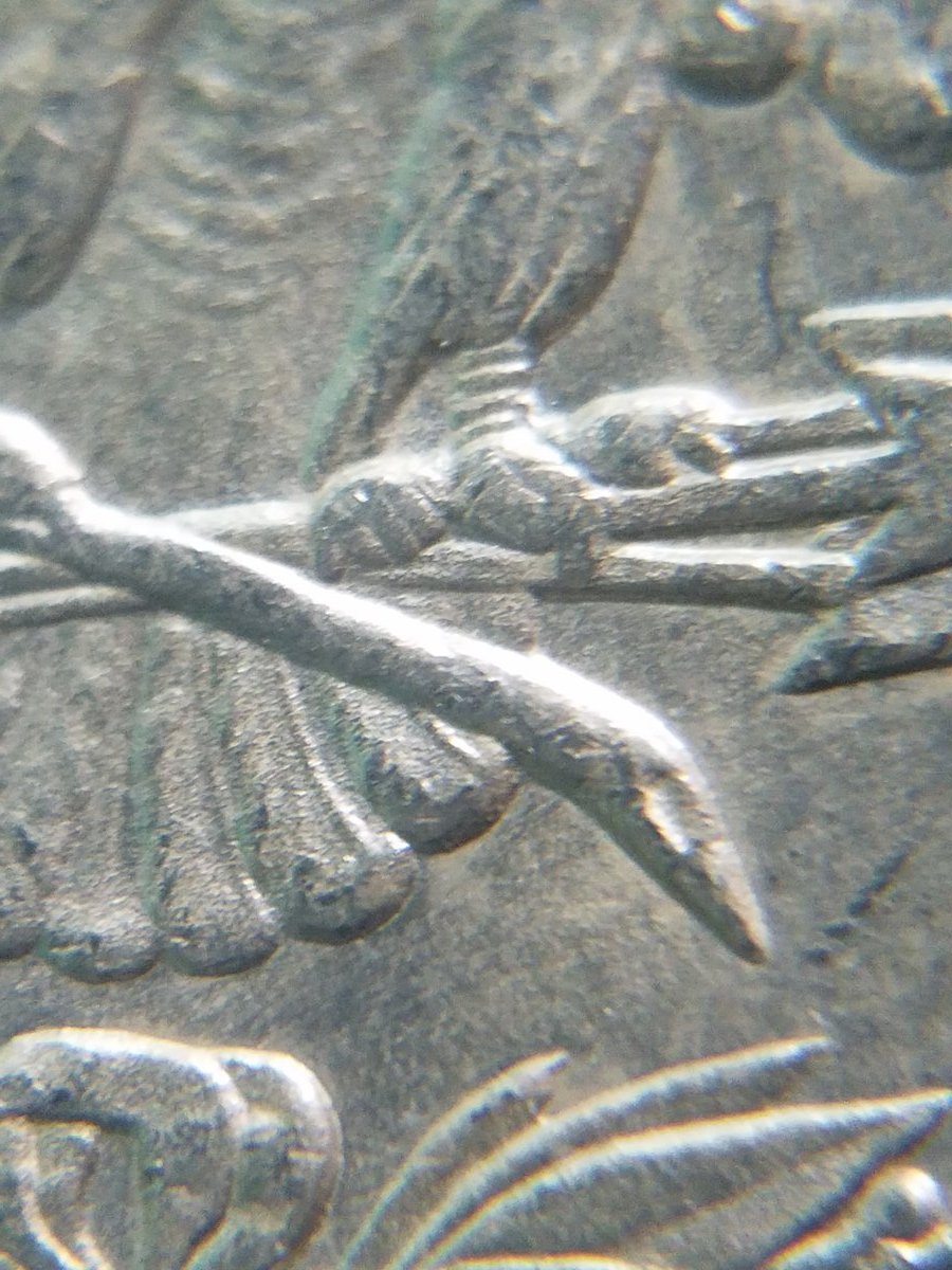 1894-Morgan-Dollar,-Grade-Me