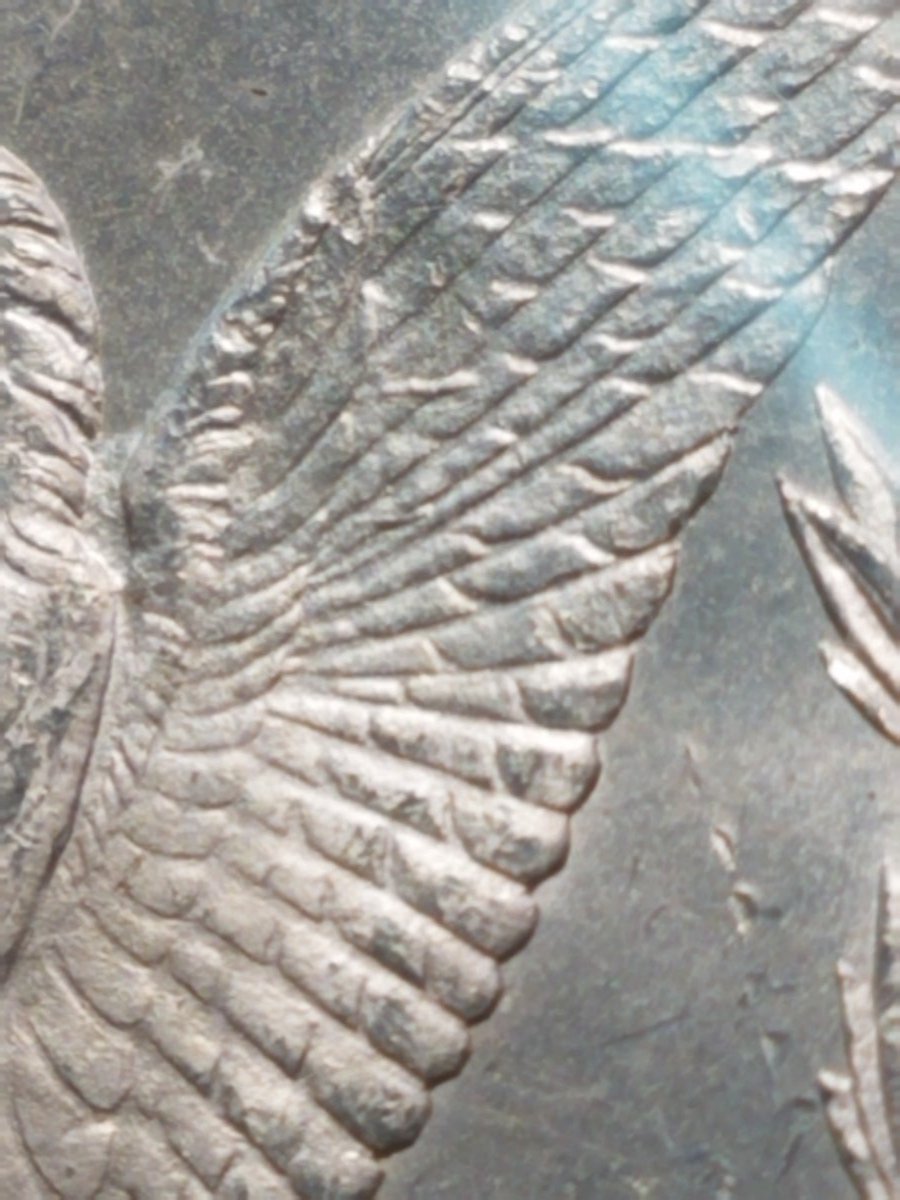 1878-CC-Morgan-Dollar-Need-Help,-Possible-New-VAM?