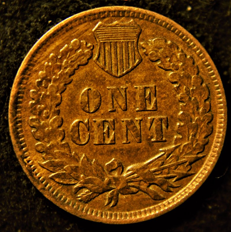 1899-Indian-Head-Cent-MPD-002,-RPD-032-|-1899-Snow-31-Woody
