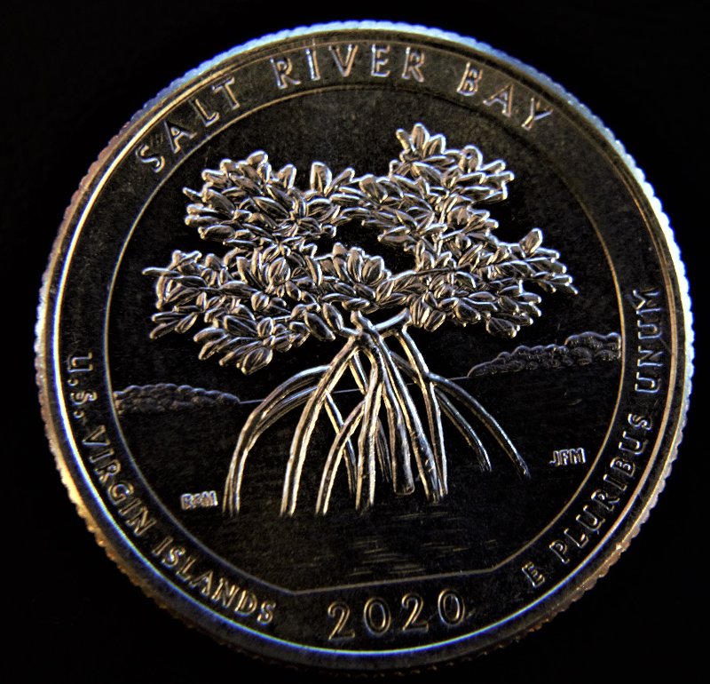 2020-Salt-River-Bay-Quarter
