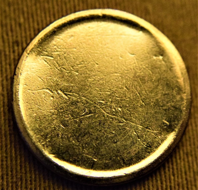 Type-2-Blank-Gold-Sac-Dollar