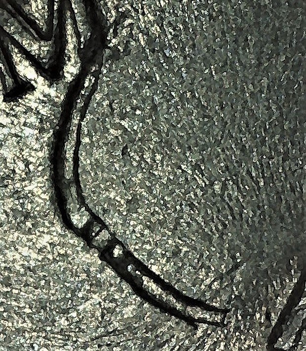 1980-P-Nickel-Mad-&-REV-Strike-Thru