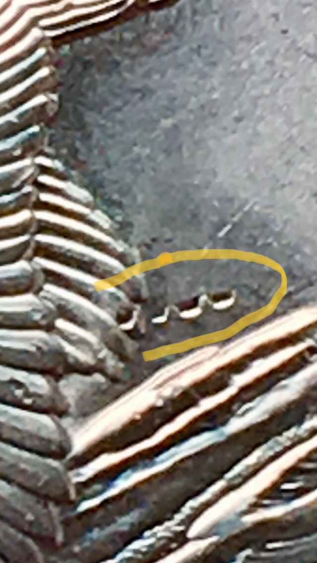 2018-D-Quarter-Rhode-Island-Error-2?