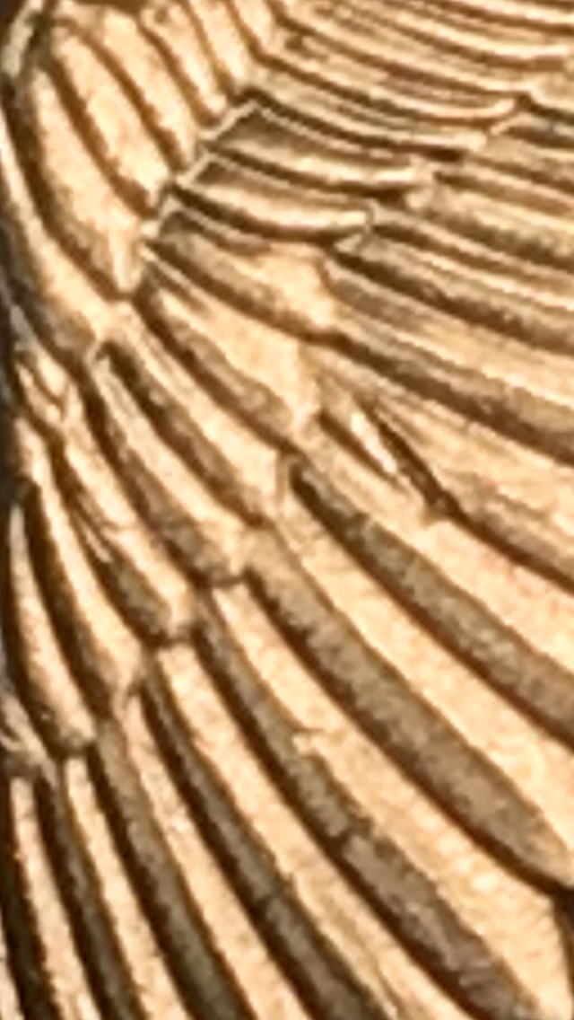 2018-D-Quarter-Rhode-Island-Error