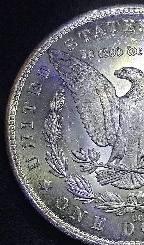 1882-CC-Bearded-Eagle?