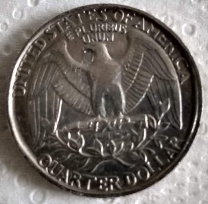A-Couple-People-Said-To-Take-Better-Pictures-So-I-Tried-To....-1993-Quarter