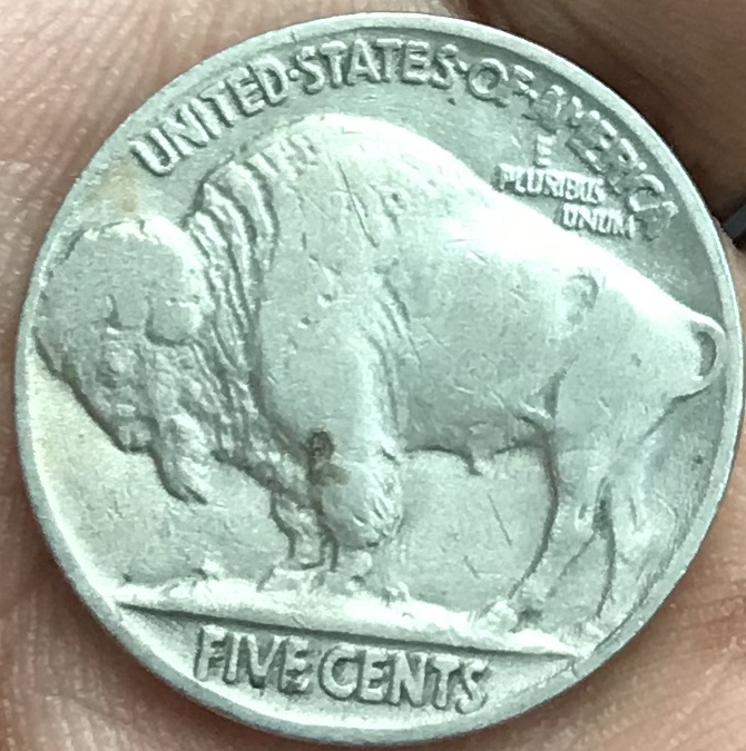 What-Would-You-Grade-This-1935-Buffalo-Nickel