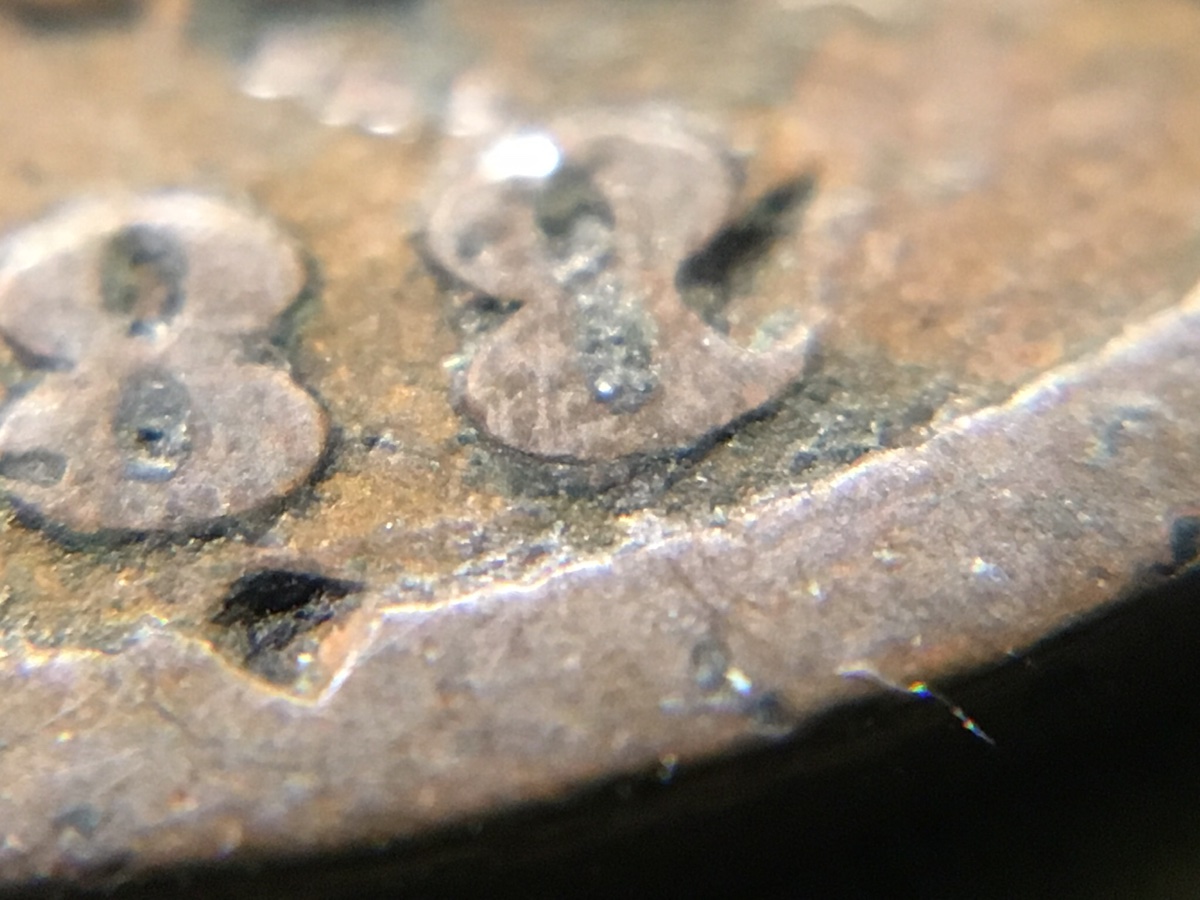 Very-Worn-&-Dirty-1888-Indian-Cent.-Any-Chance-It's-The-8/7-Overdate?