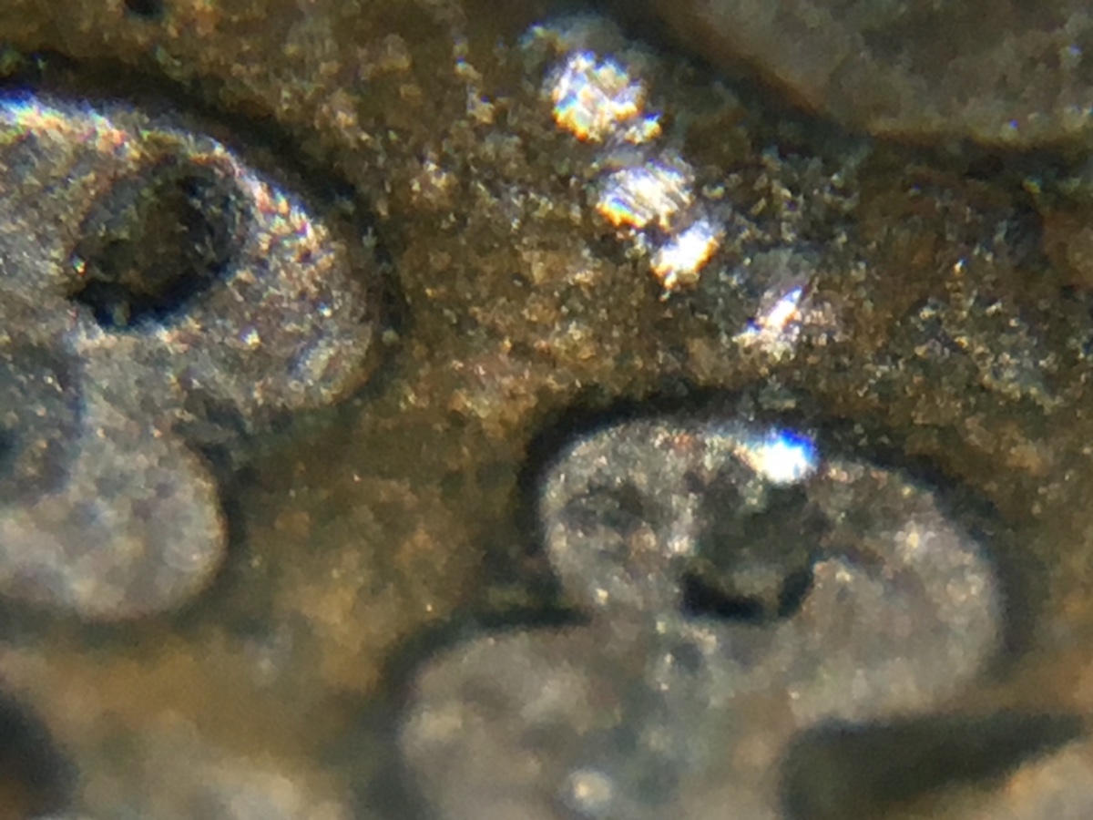 Very-Worn-&-Dirty-1888-Indian-Cent.-Any-Chance-It's-The-8/7-Overdate?
