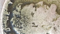 1926-Lincoln-Cent-I-Need-Your-Knowledge-On-Please!