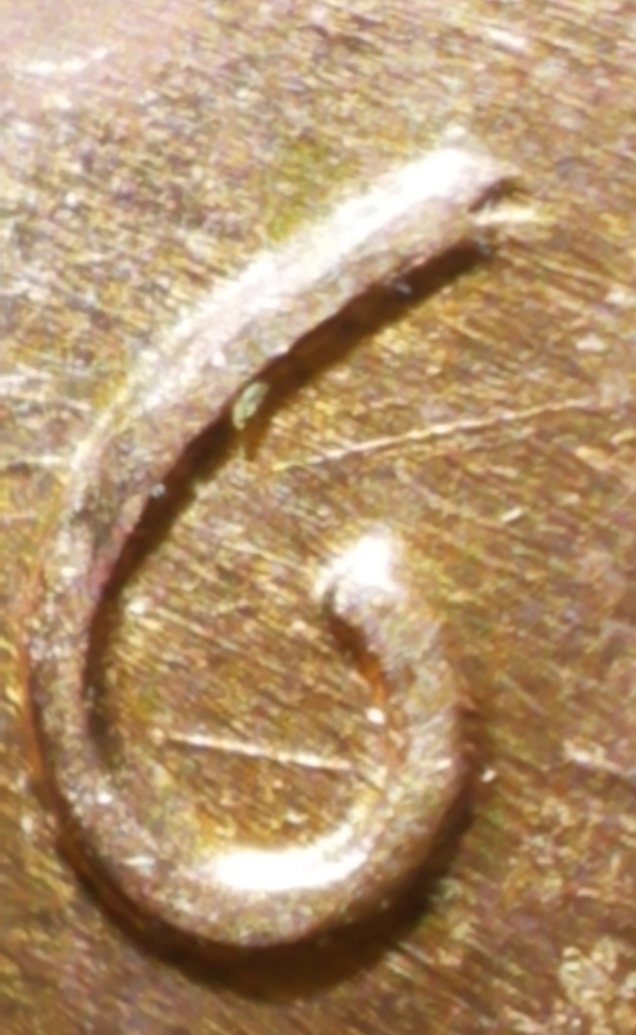 1996-P-LMC..-Well-Placed-Die-Chip?