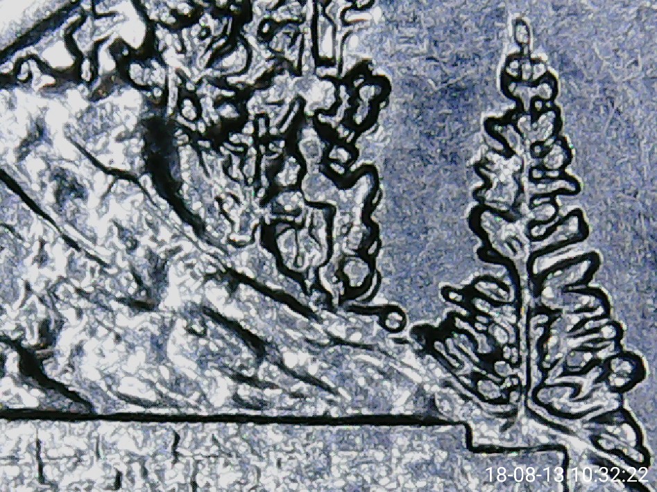 2015-North-Carolina-Blue-Ridge-Parkway-Atb-Quarter
