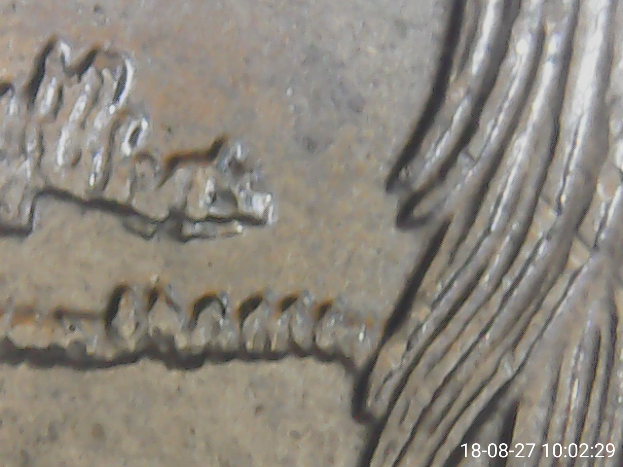 2015-Bombay-Hook-Atb-Quarter..today's-Find!
