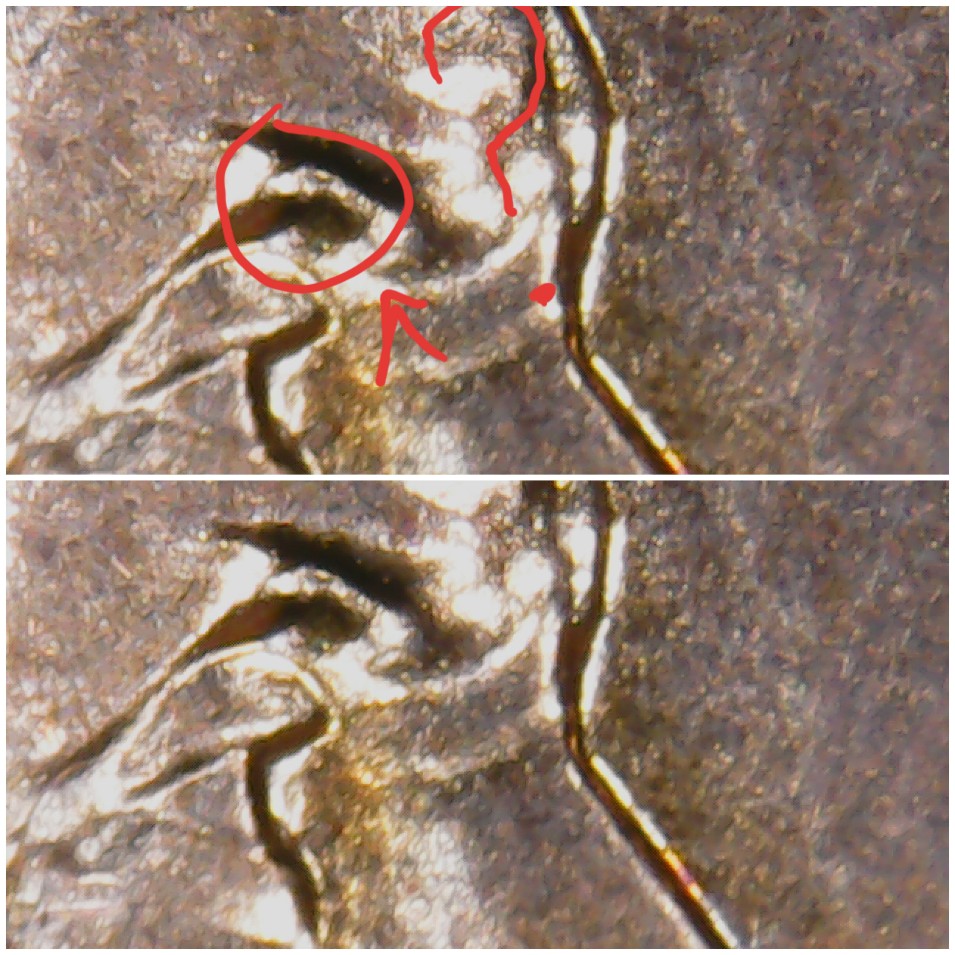 2018-P-LSC..-Question-About-The-Eye