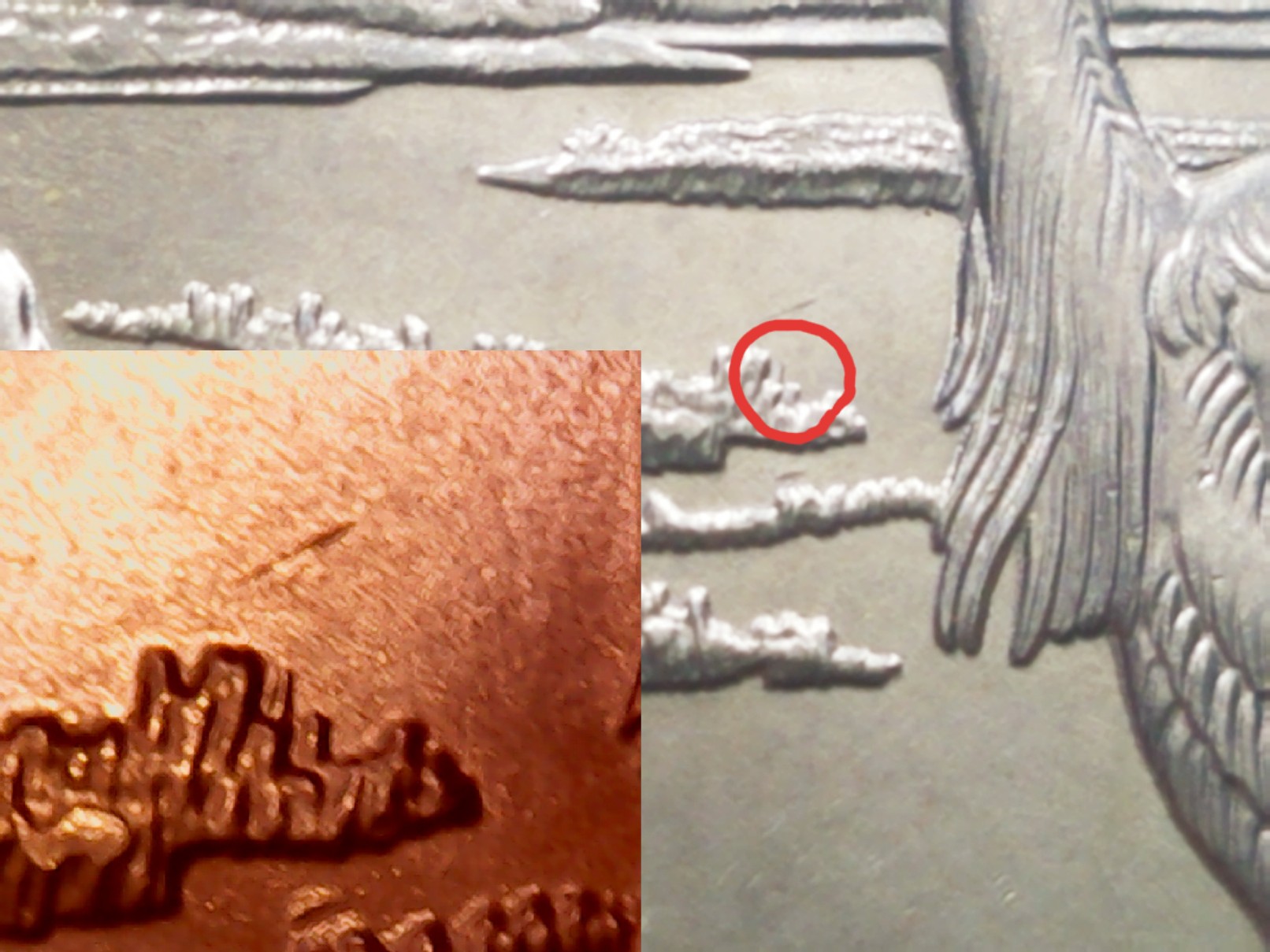 2015-P-Delaware-Quarter---WDDR-16-Maybe?
