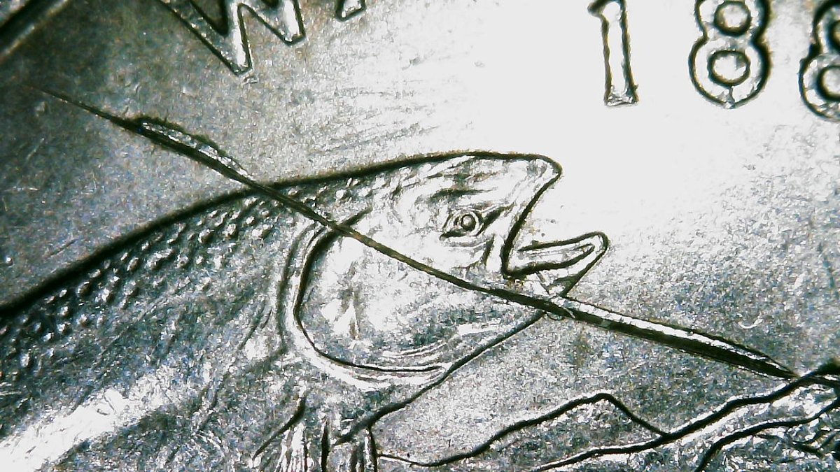 2007-D--Washington-State-Quarter-PMD?