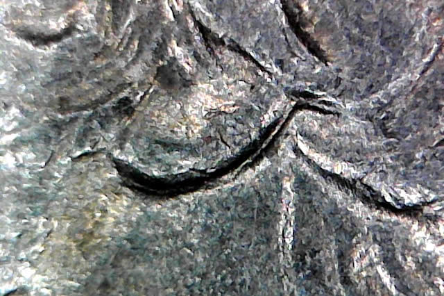 1994-P-With-Multiple-MD-And-Vlsds-On-Obverse,-Very-Little-MD-On-Reverse